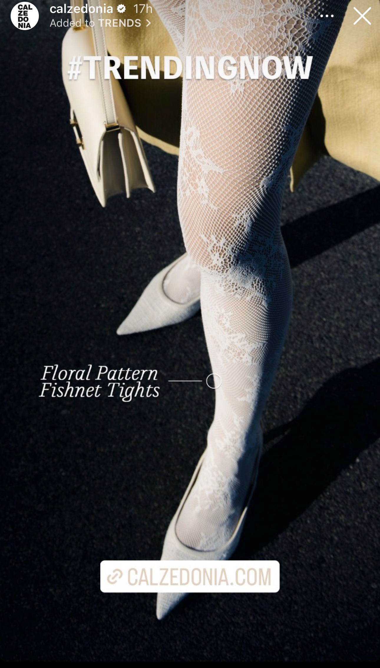 AD FOR CALZEDONIA ITALIA BY MSSTUDIO