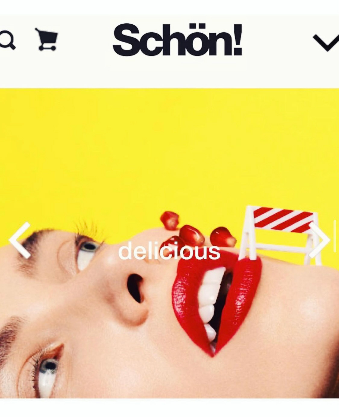 SCHON MAGAZINE BY SINTIA/MIKS