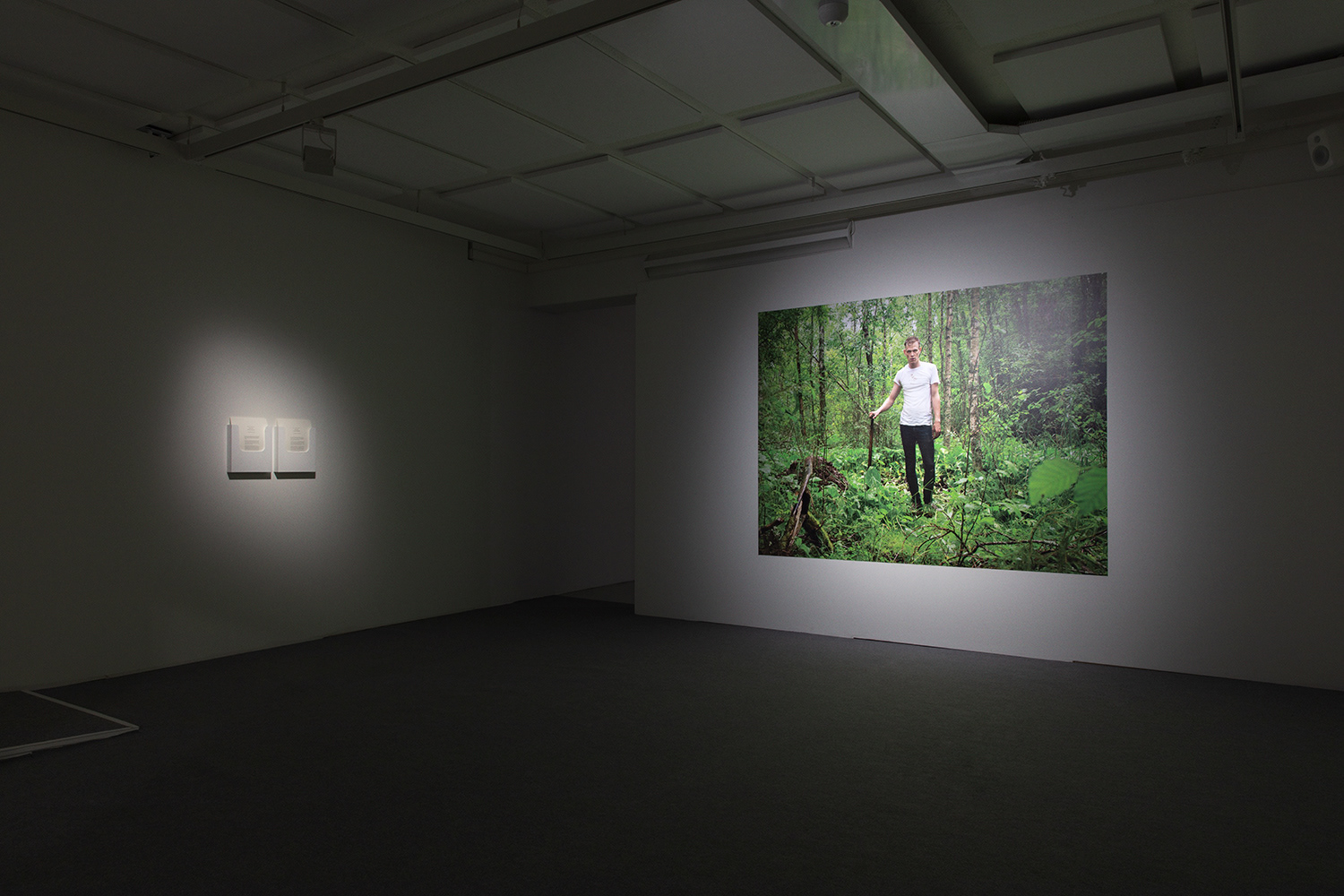 Tuomas Linna, Lingering in Rapalaakso, Kuvan Kevät 2018, Exhibition Laboratory, Helsinki, FI