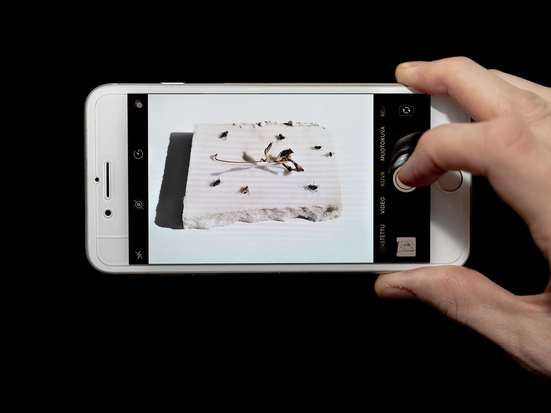 Tuomas Linna, My studio‘s flies spring to life from a marble tile brought from Rome