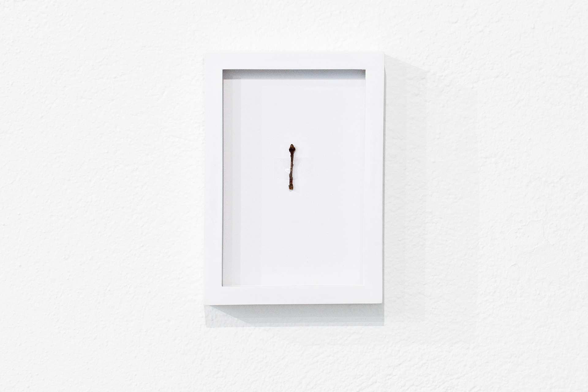 Tuomas Linna, Every little thing