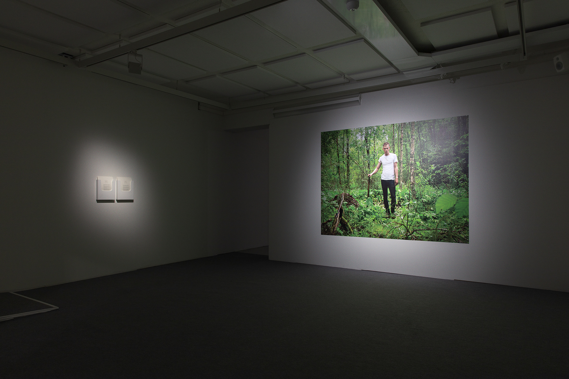 Tuomas Linna, Lingering in Rapalaakso