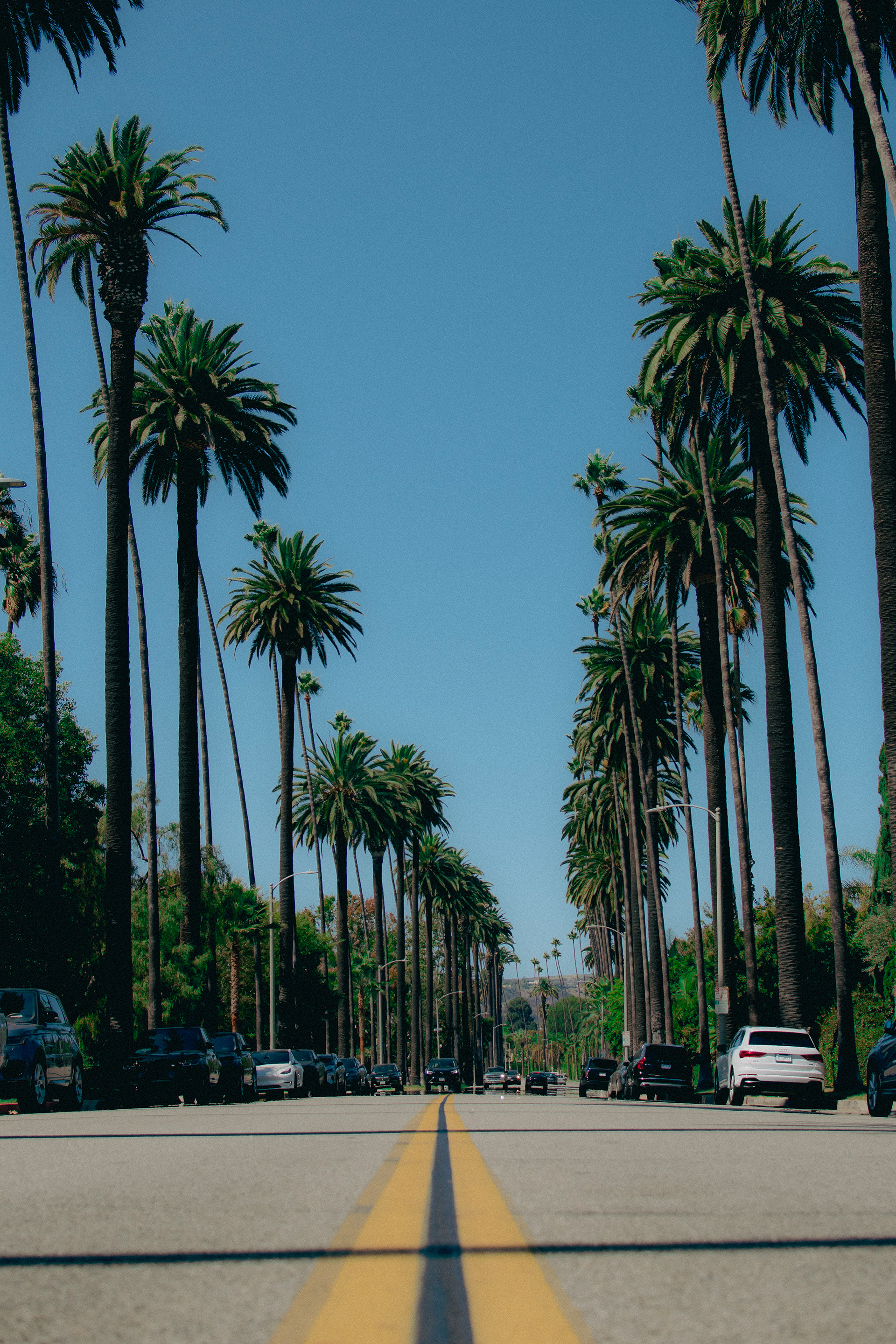 Beverly Hills, CA