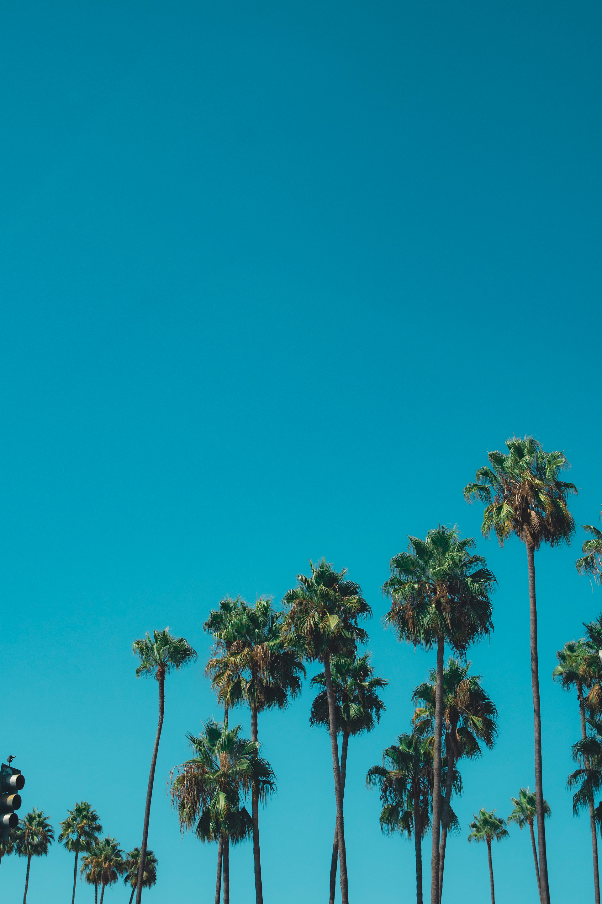 Los Angeles, CA