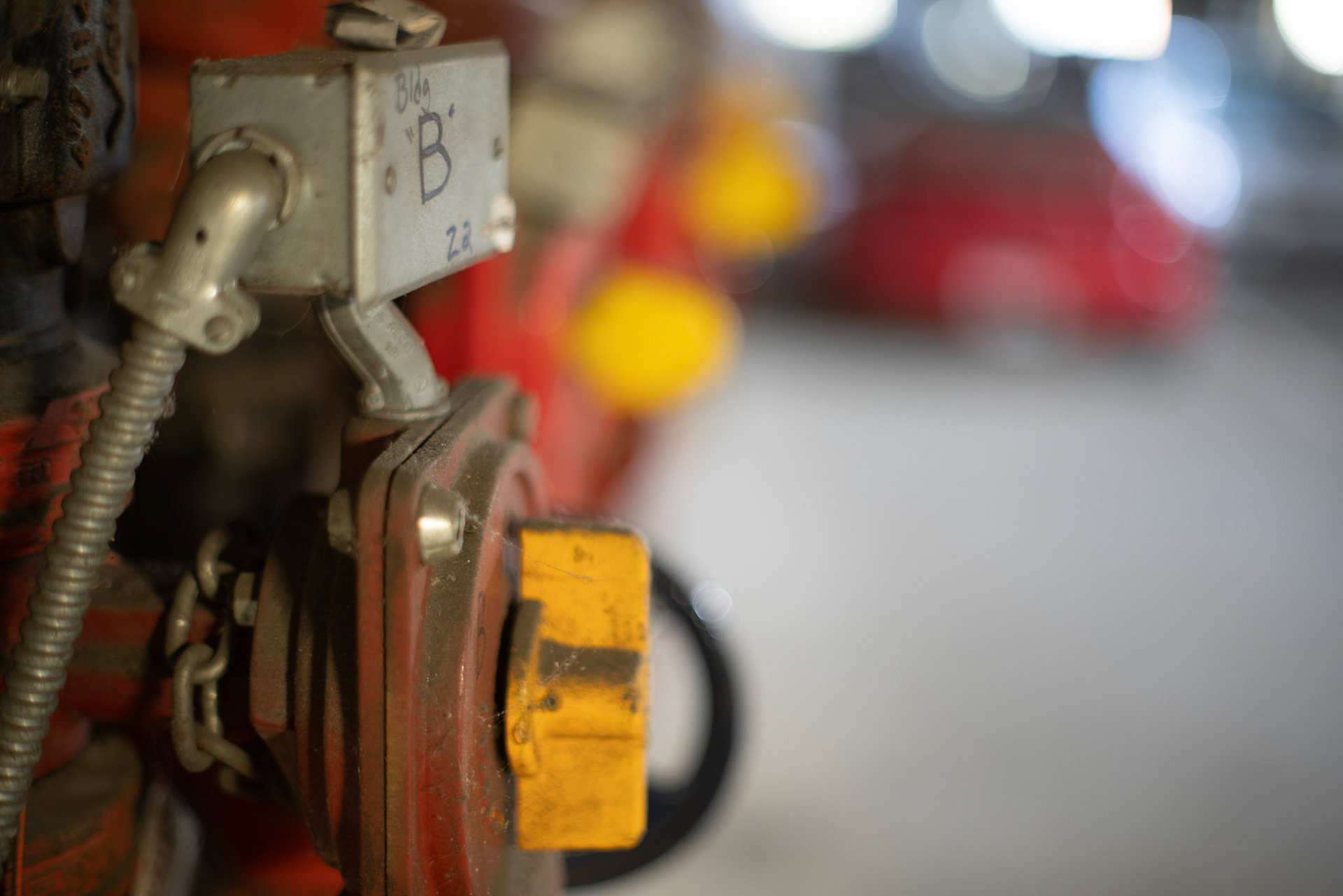 Bokeh/Macro f/1.4