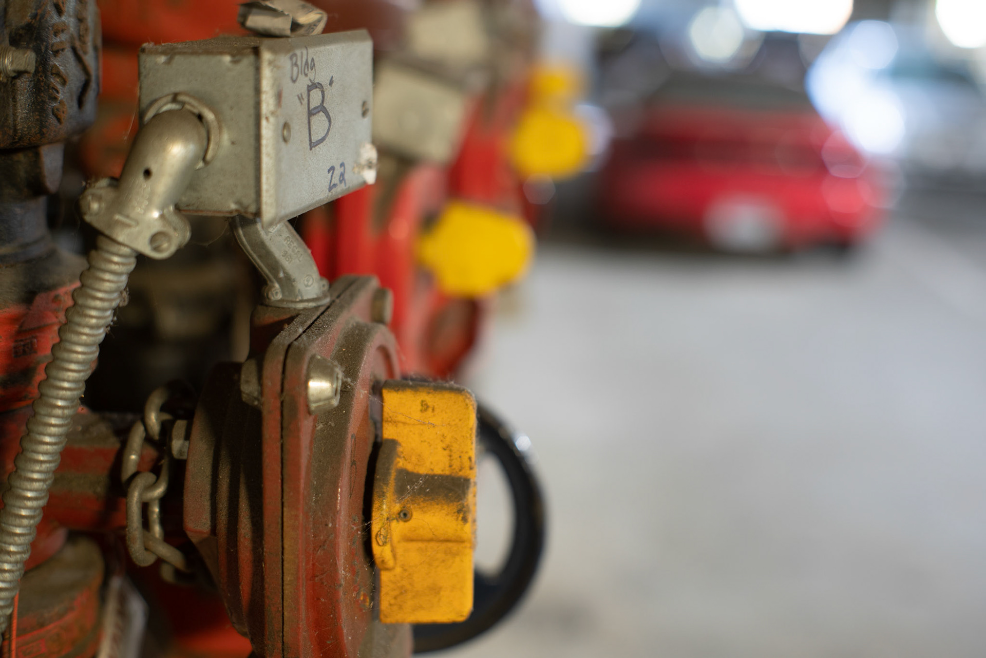 Bokeh/Macro f/2.8