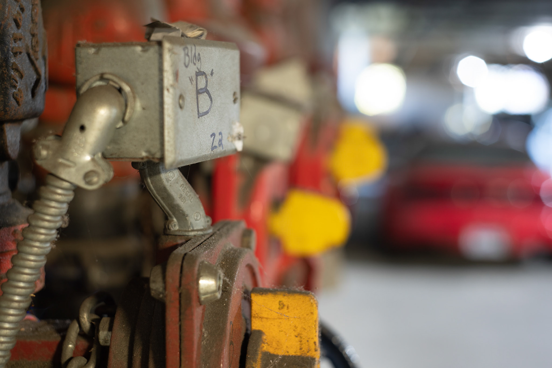 Bokeh/Macro f/4