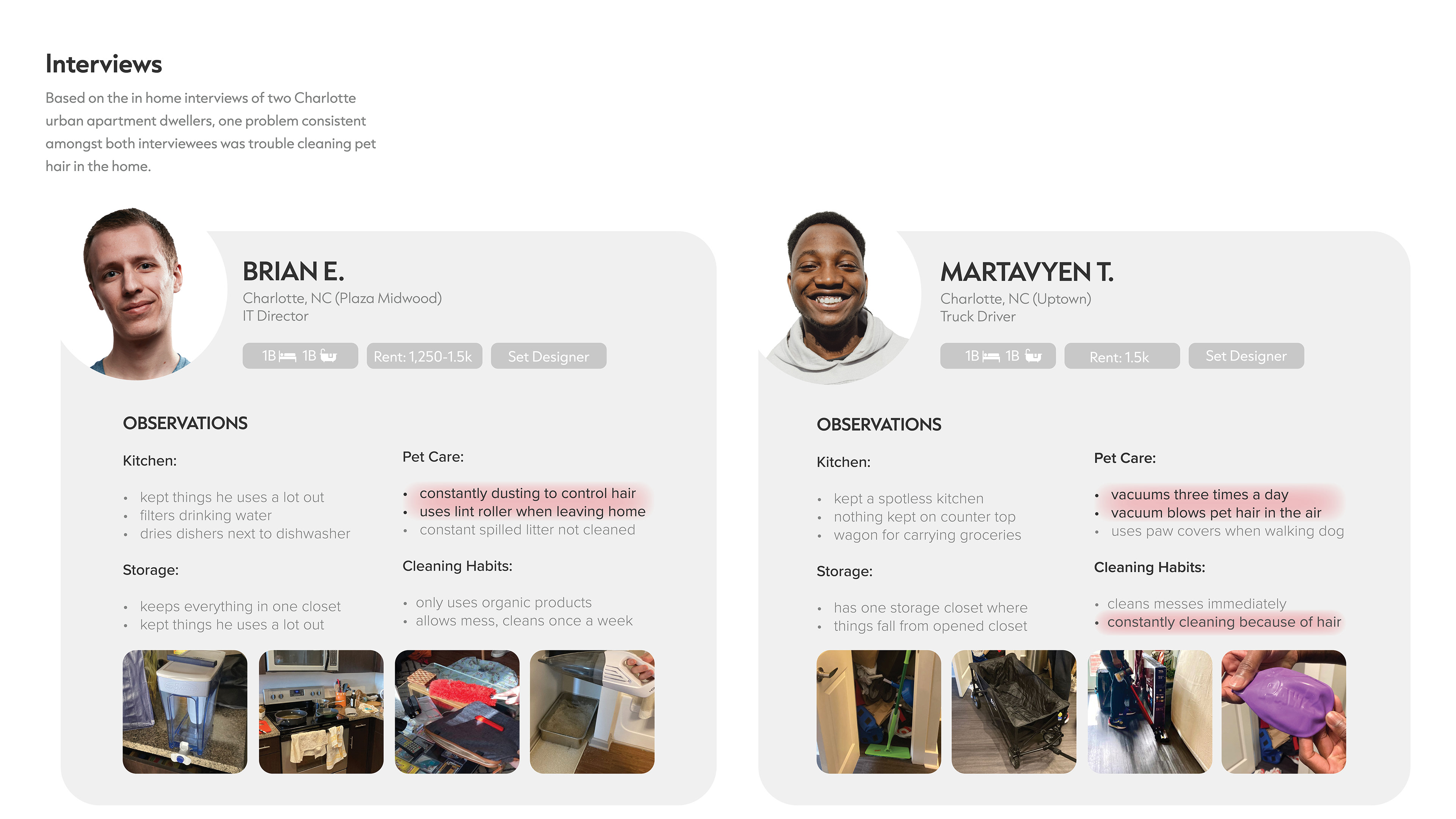 Eliese Bird Pet Hair Picker Upper