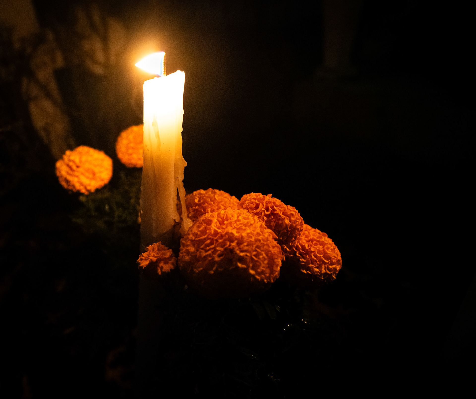 Celebrating Día de Muertos