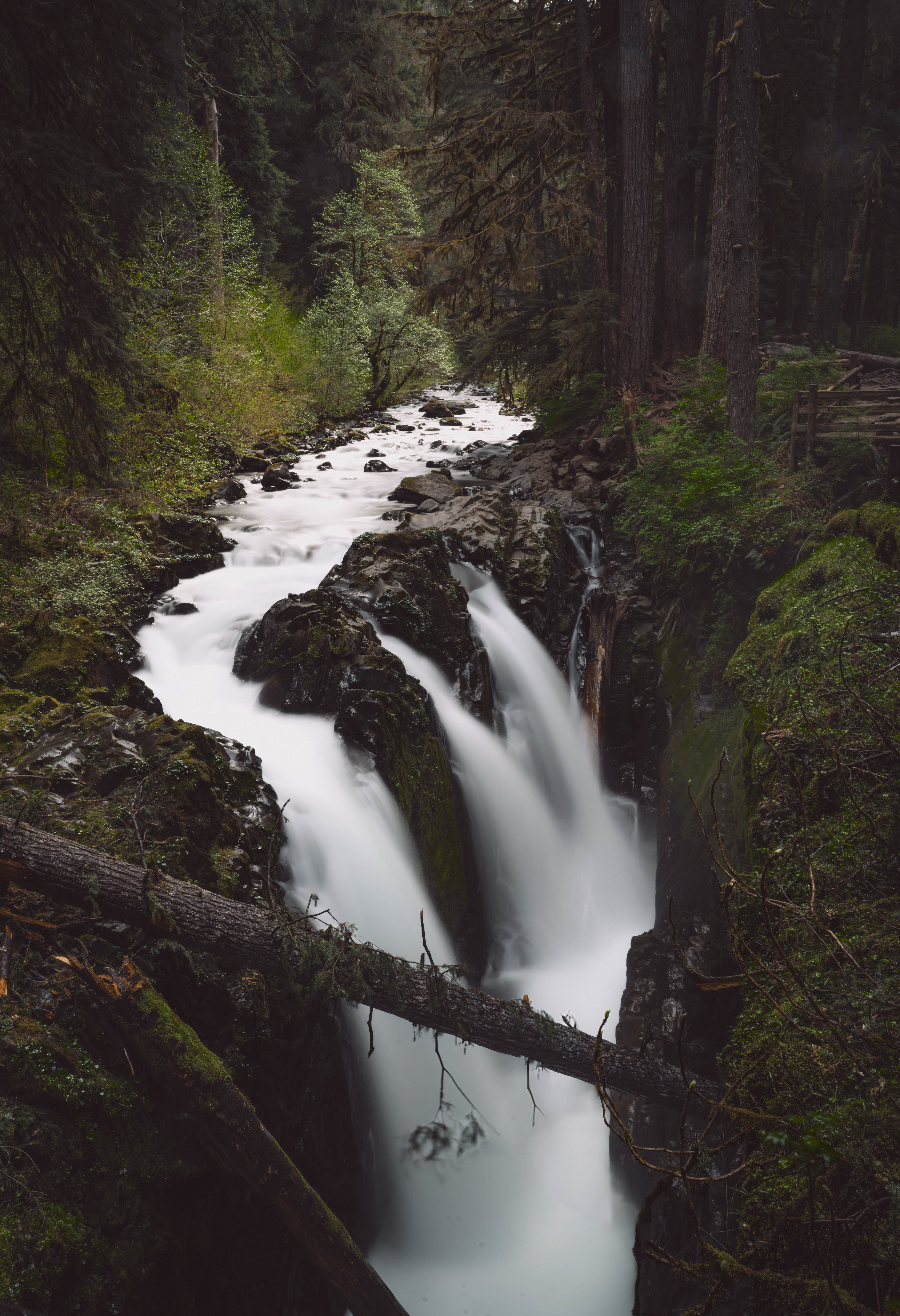 Sol Duc Falls