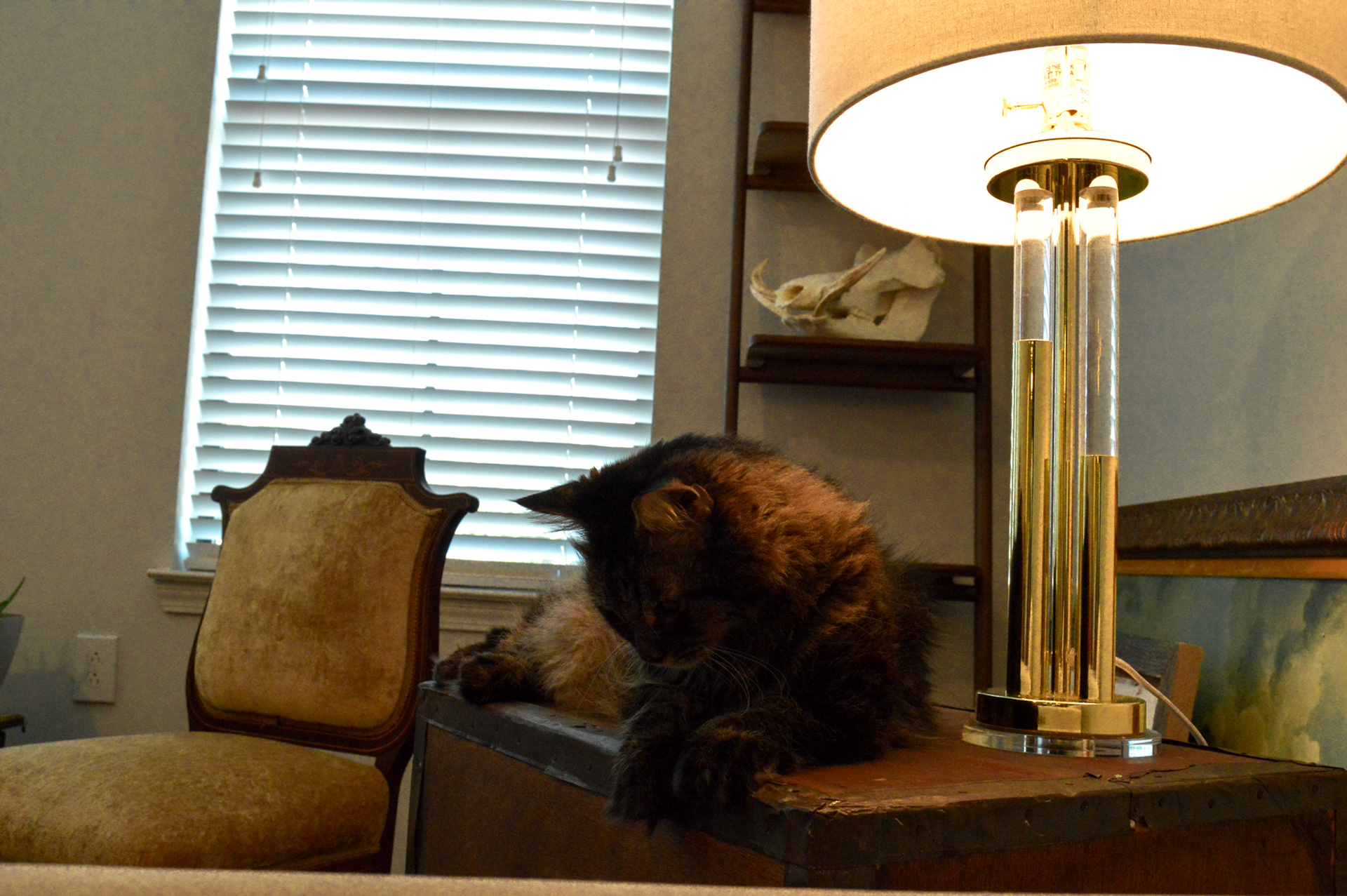 Staged / Atlanta, Georgia