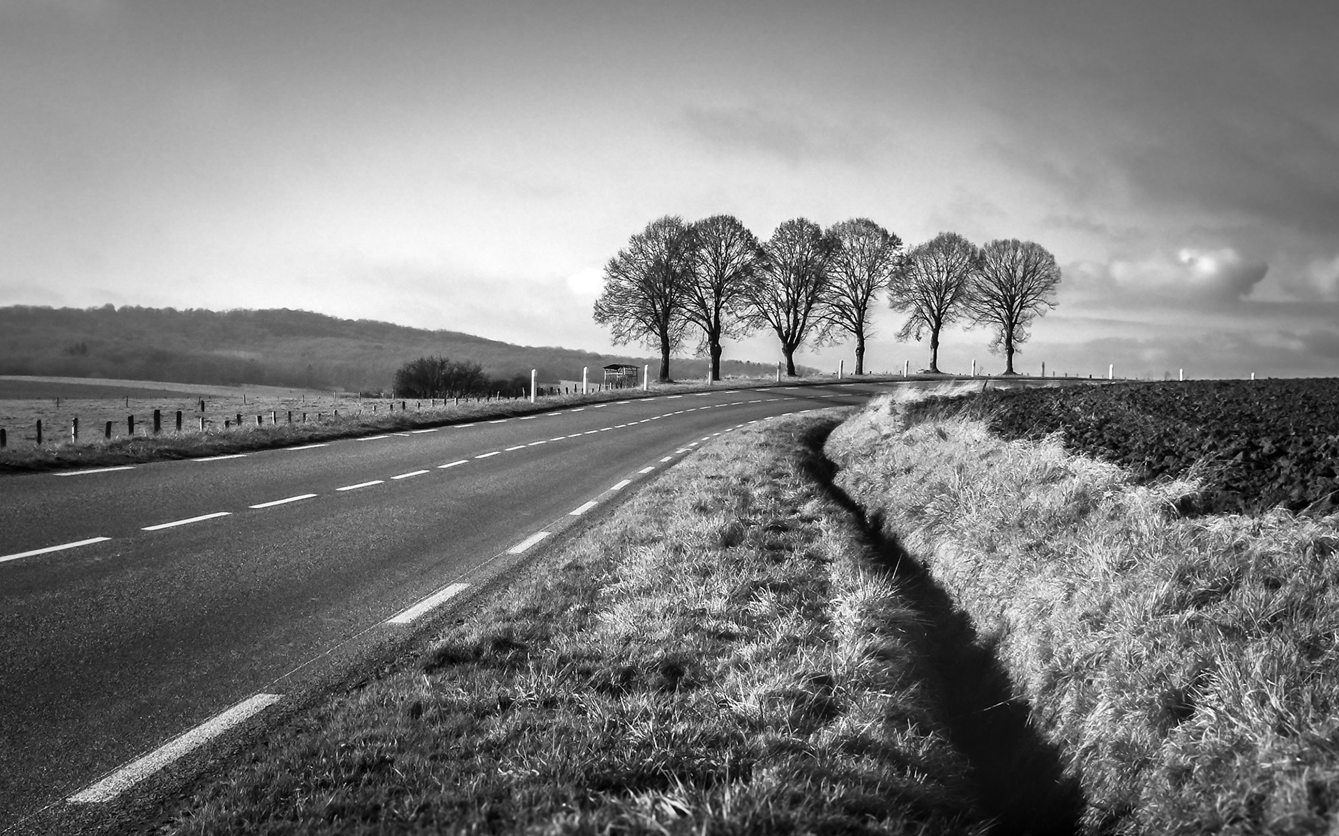 sur la route du côté de Luxeuil (70)