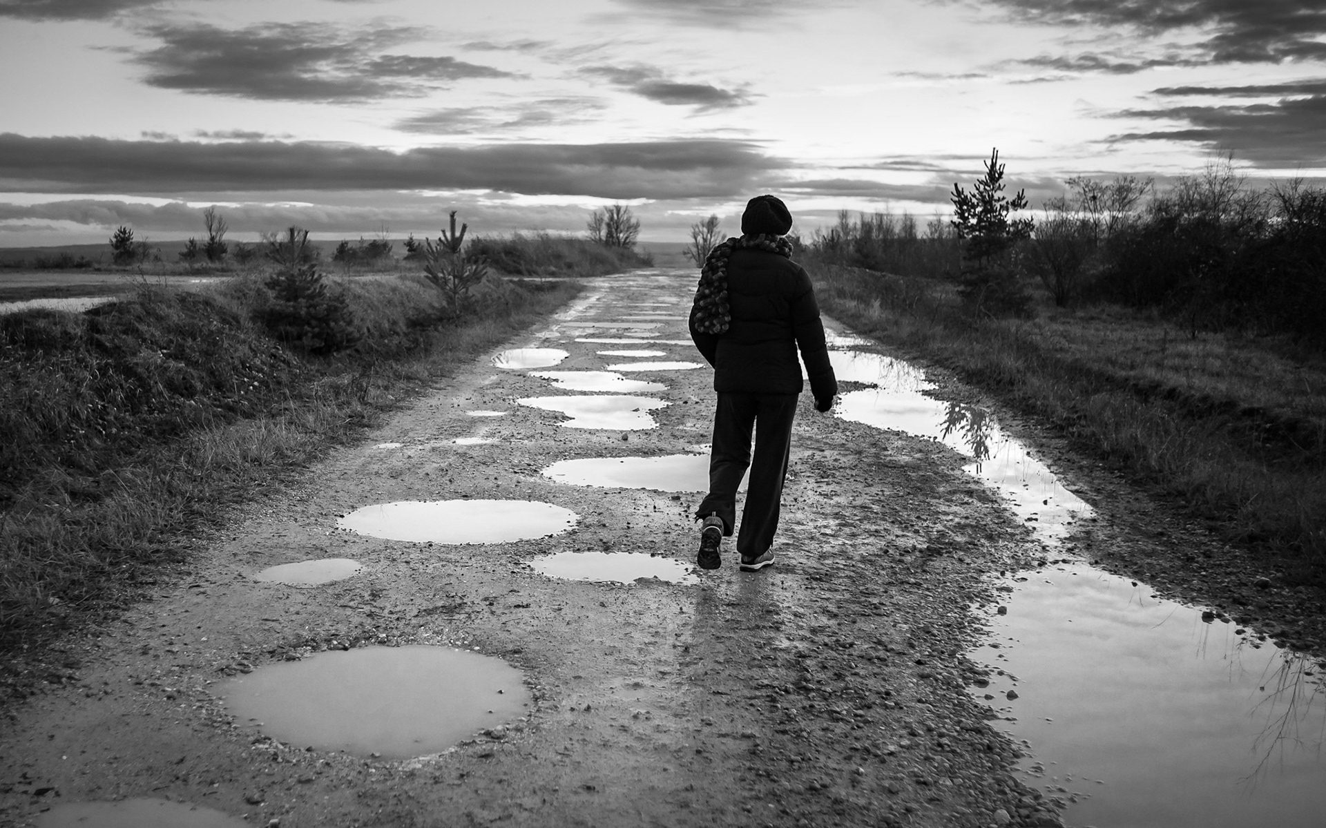 sur la plateau d'Ecrouves (54)