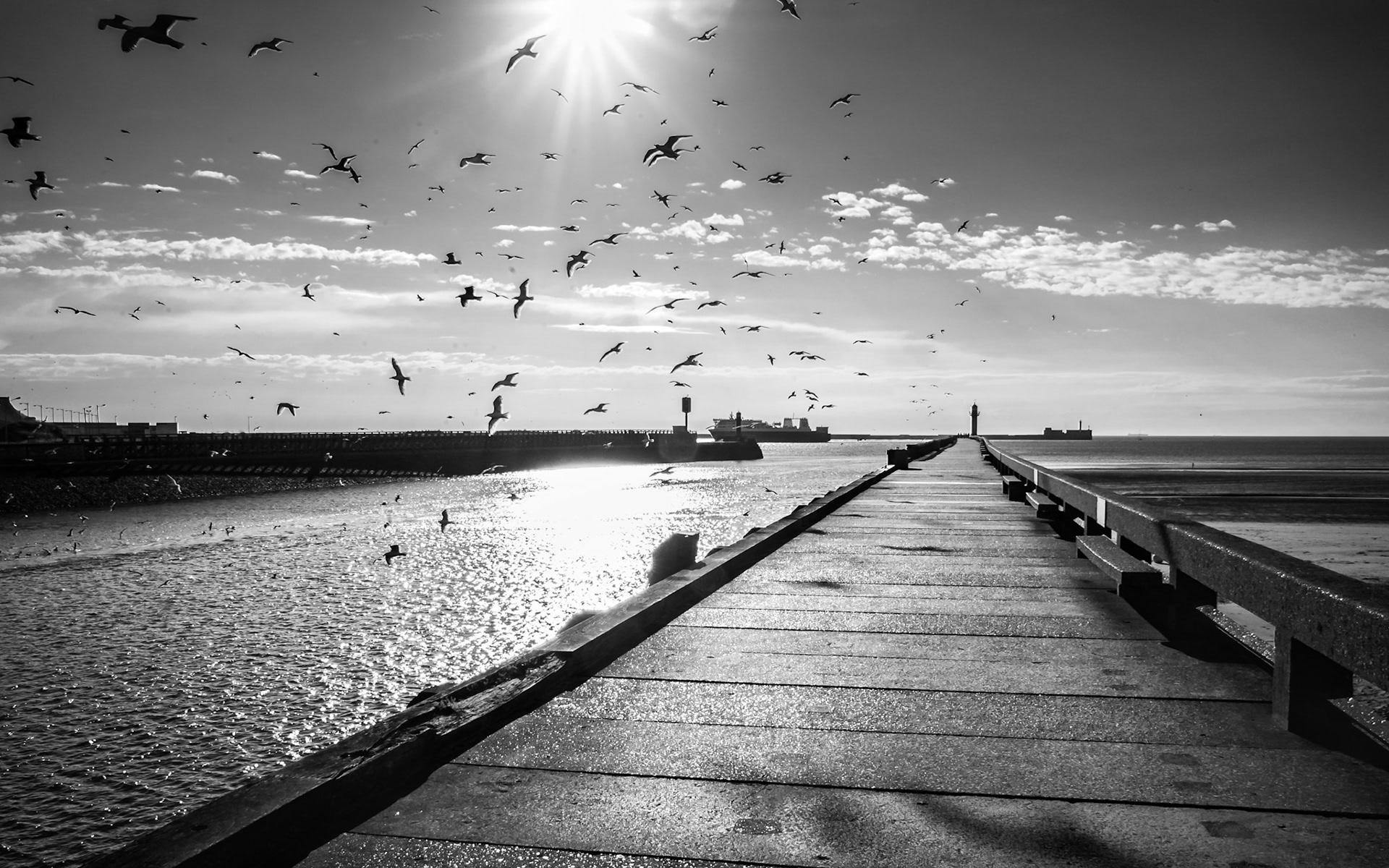 à Boulogne sur Mer (62)