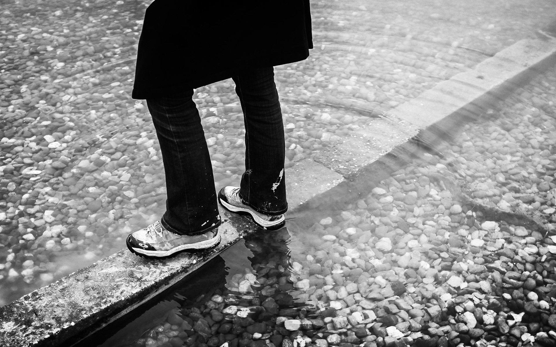 au bord du lac de la Madine (Lorraine)