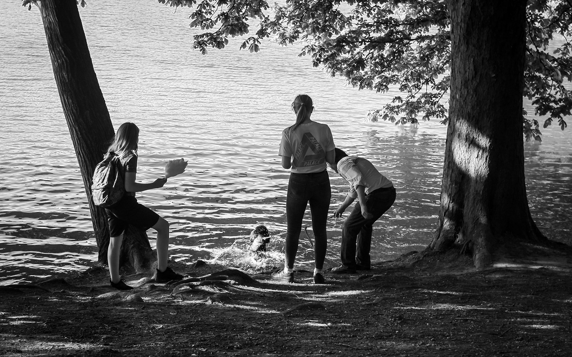 à Lyon - parc de la Tête d'Or