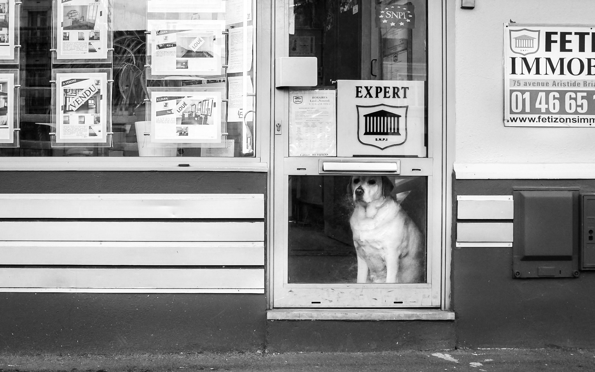 à Arcueil (Ile de France)