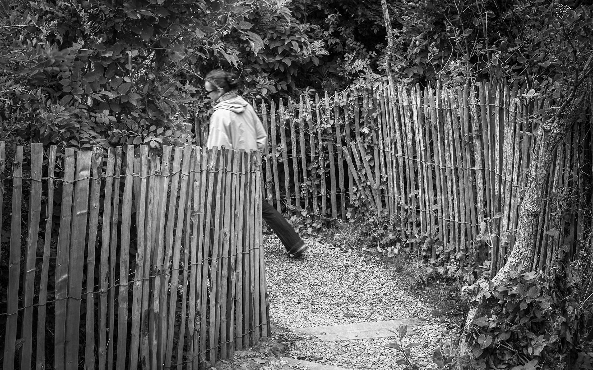 du côté du cap gris nez (62)