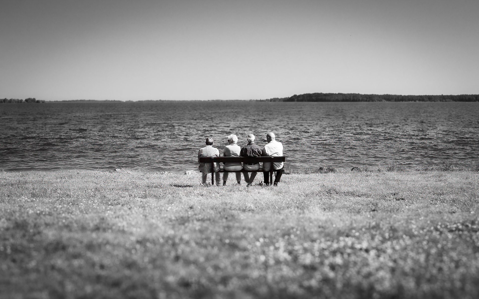 au bord du lac de la Madine (Lorraine)
