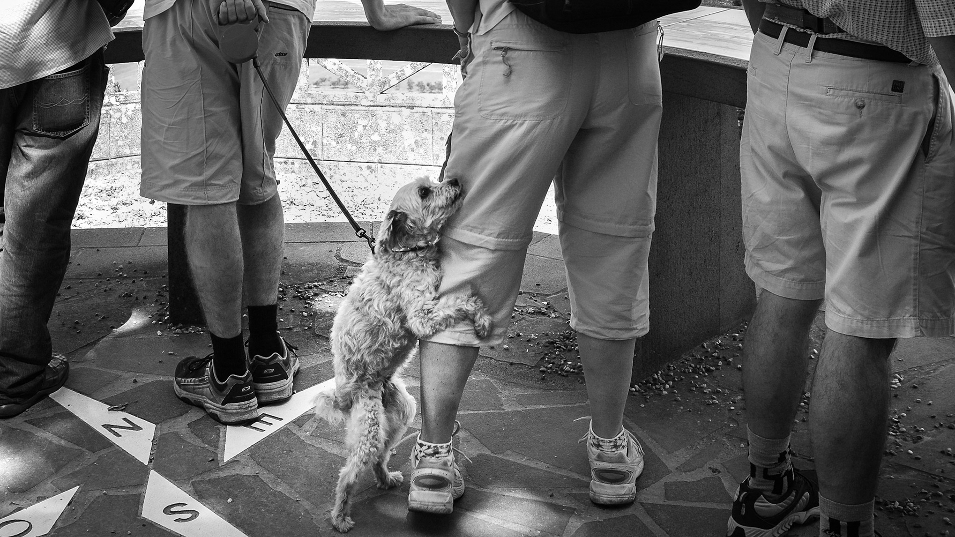 colline de sion - pas loin de nancy
