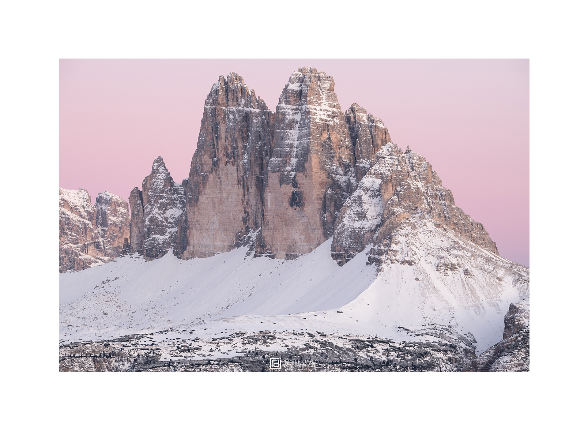 Dario Fedele Fotografo naturalista Bolzano Alto Adige Italia