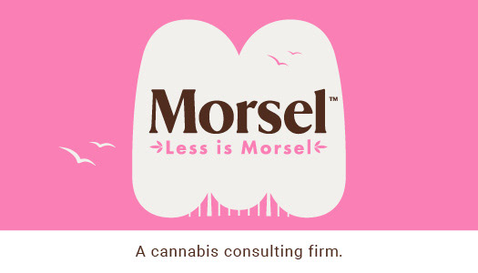 Morsel business cards- random colors for front & backs