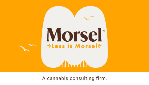 Morsel business cards- random colors for front & backs