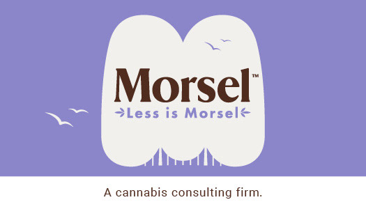 Morsel business cards- random colors for front & backs