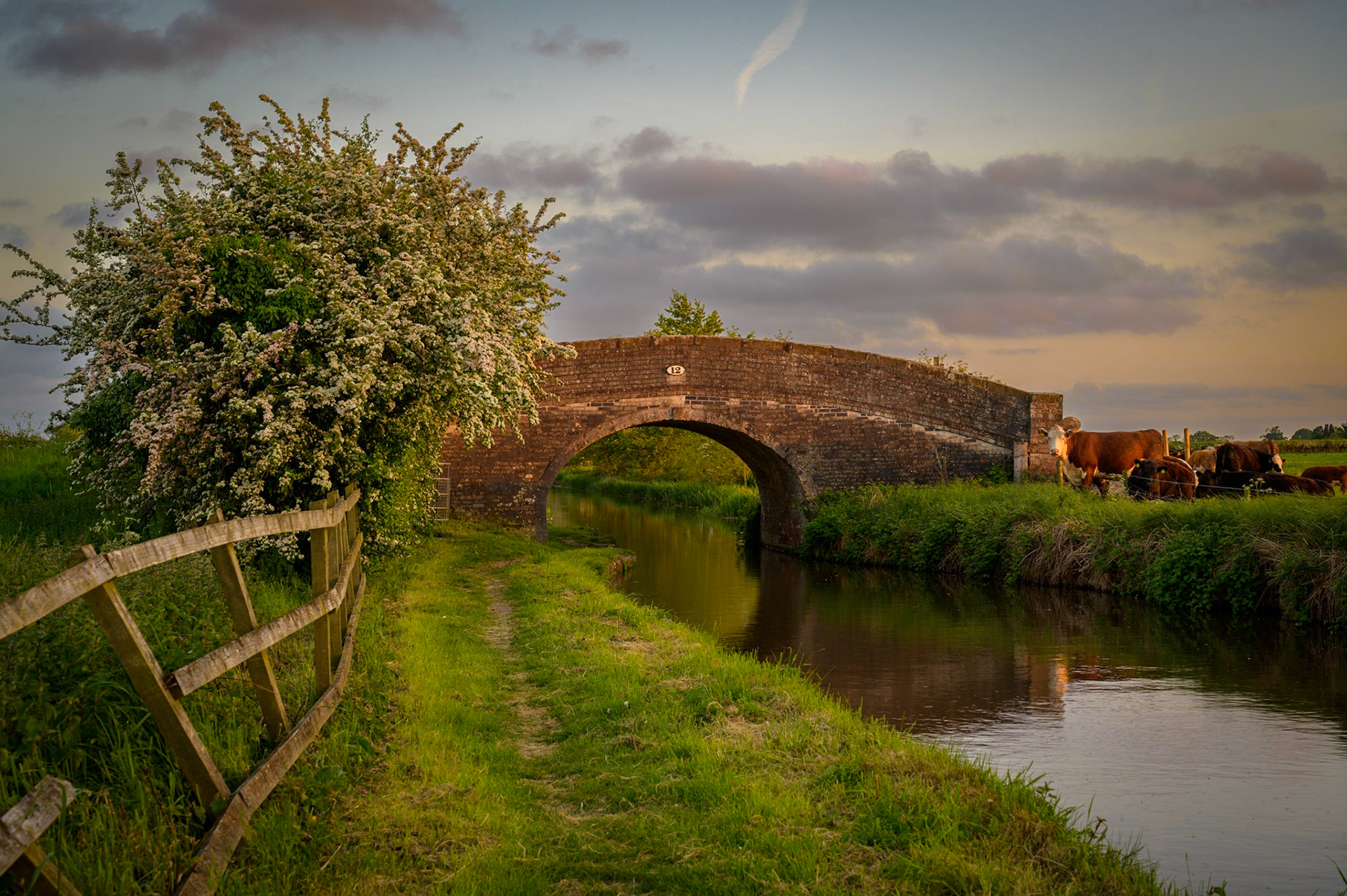 Golden hour on the Llangollen canal, UK.