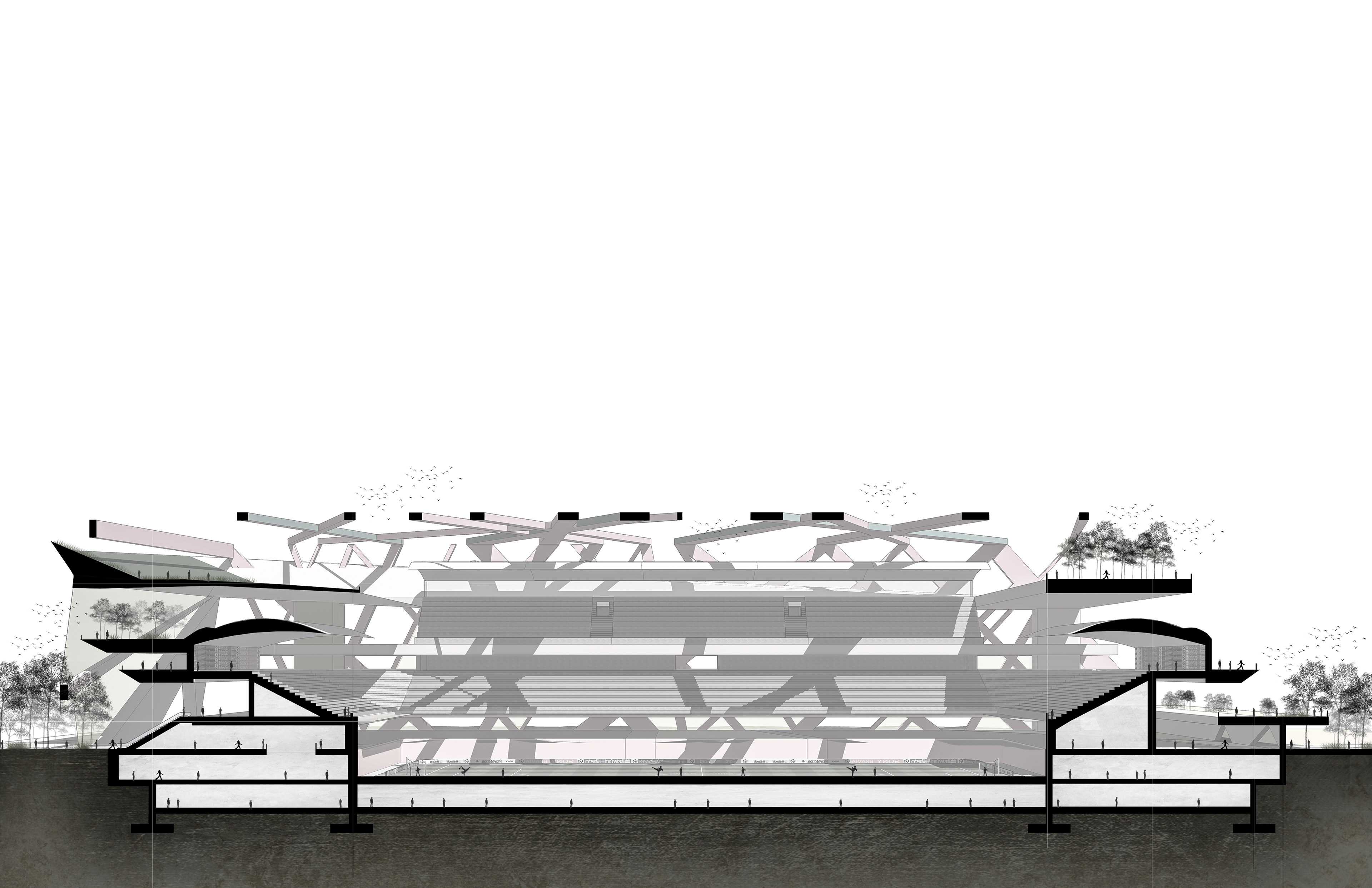 Stadium Longitudinal Section