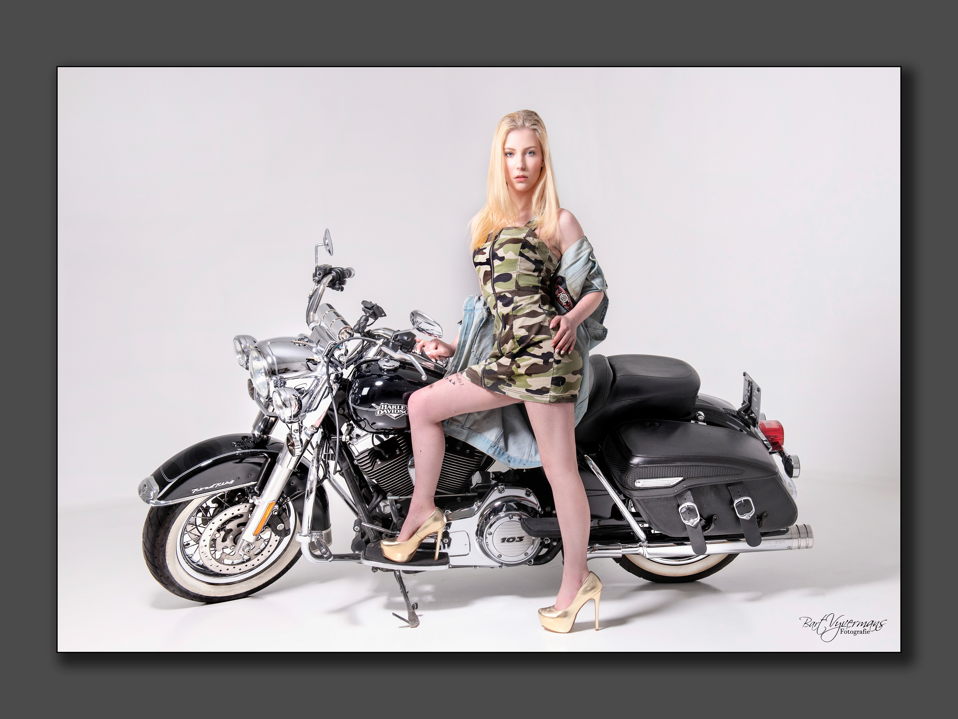 Harley Girls II
