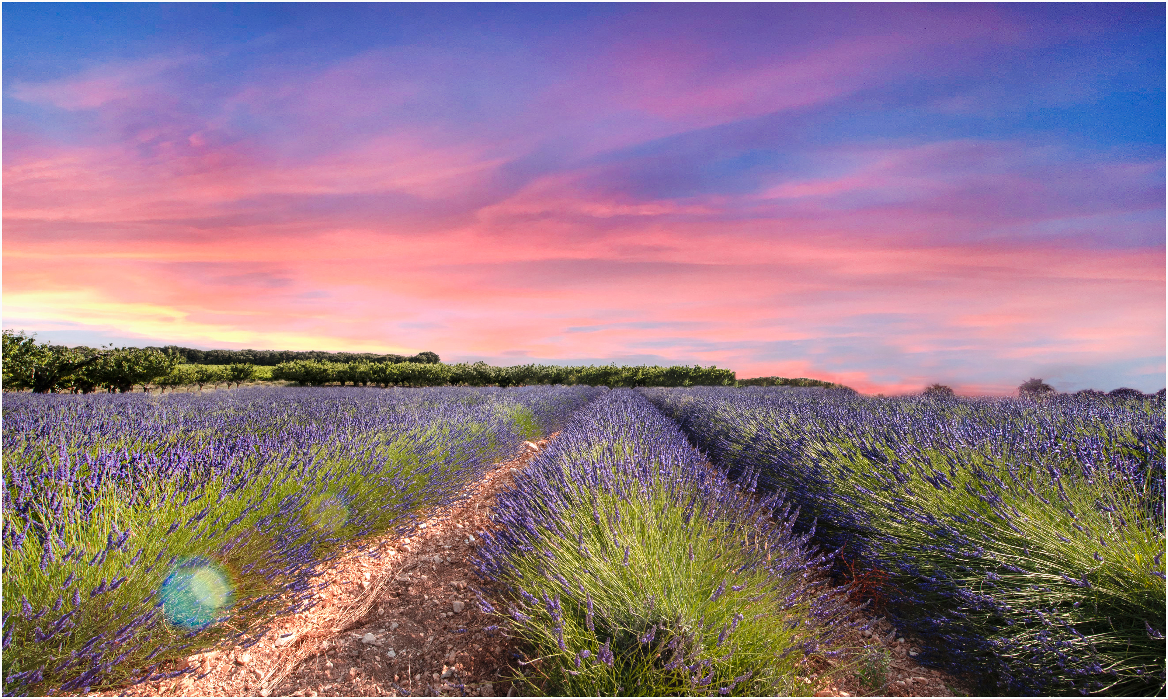 Provence