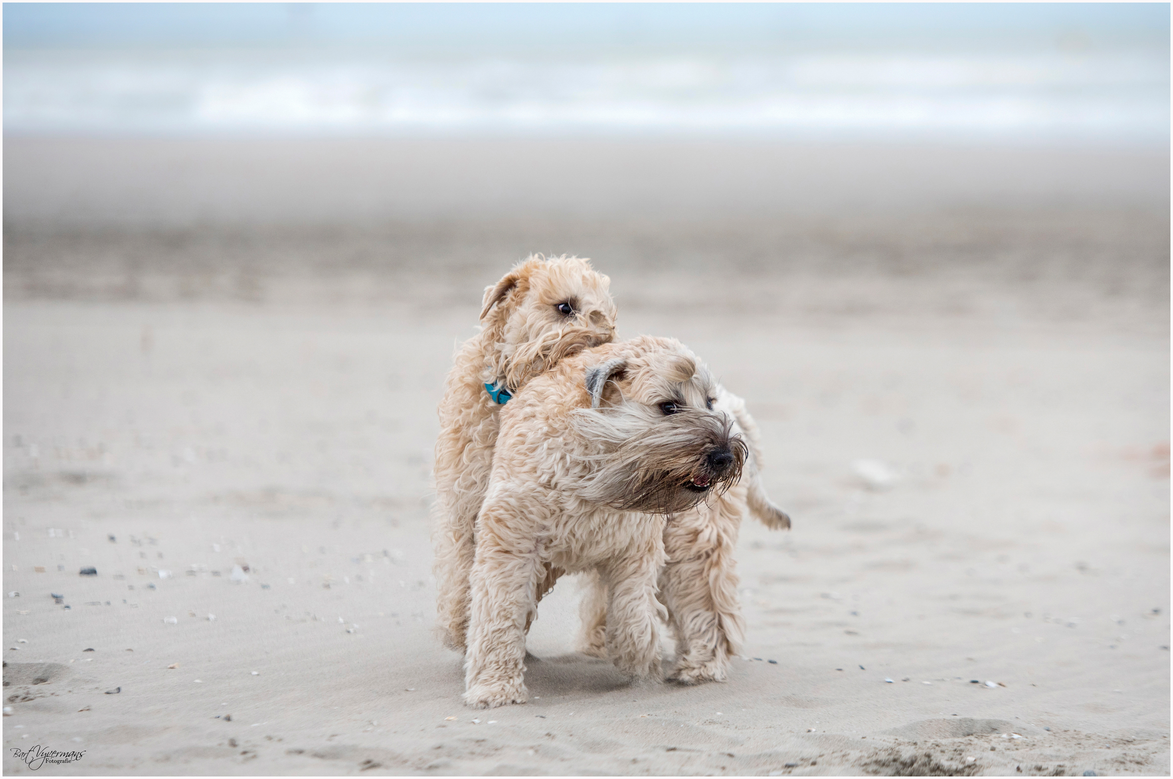 At the Sea