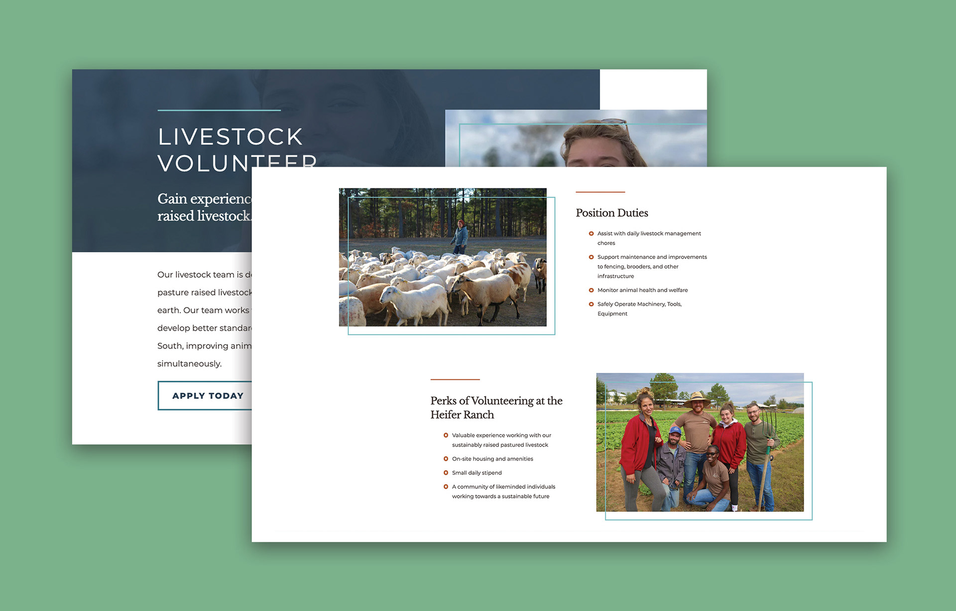 Two images showing the full layout of a page that contains information for one of the available volunteer positions at Heifer Ranch.