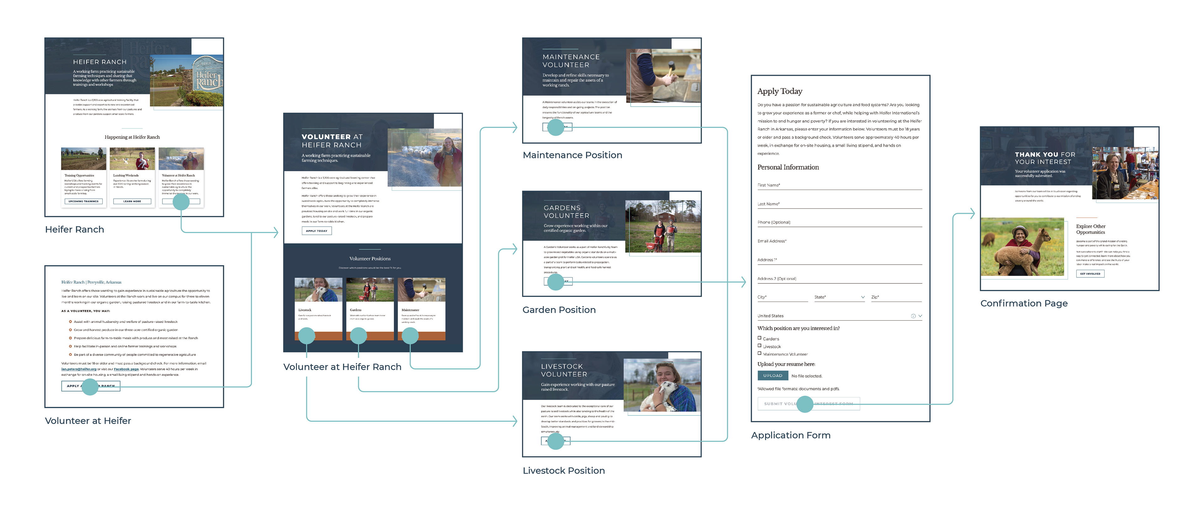 Five-step flow showing how a user submits information to volunteer at Heifer Ranch.