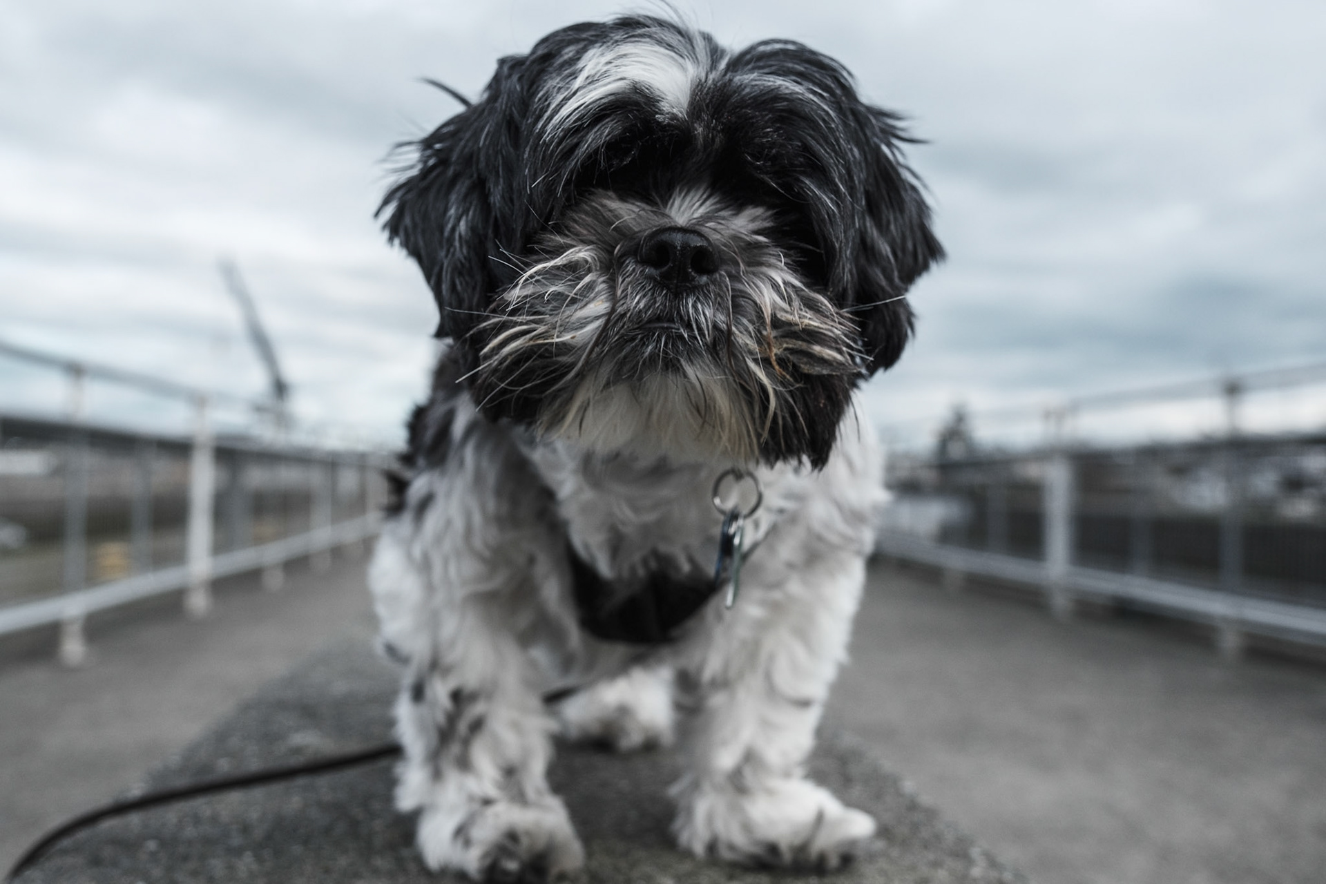 What're you looking at