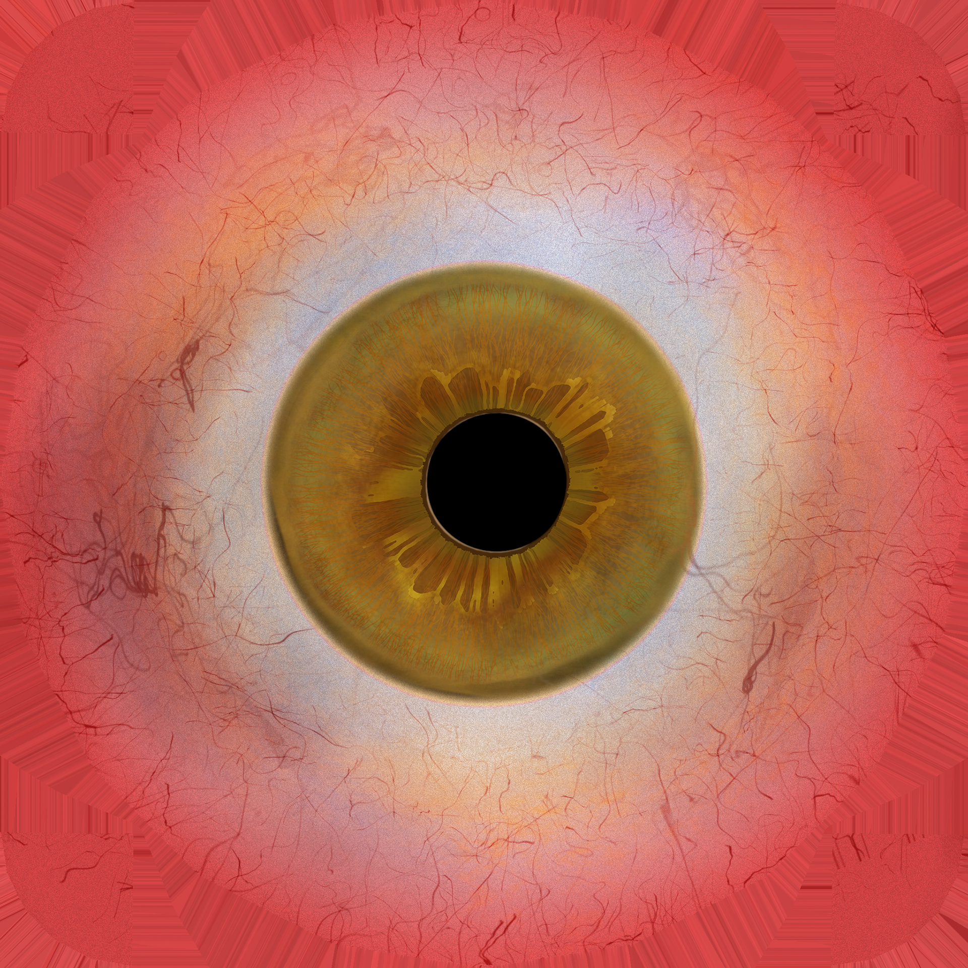 diffuse eye