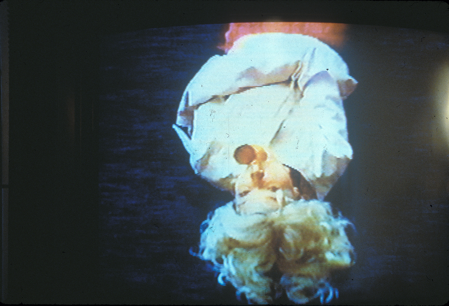 "Captive Audience" (detail of monitor), 1995-96, 320 stretched canvases, video, rope, photogaphs and text, 6'5" x 24' in diameter.