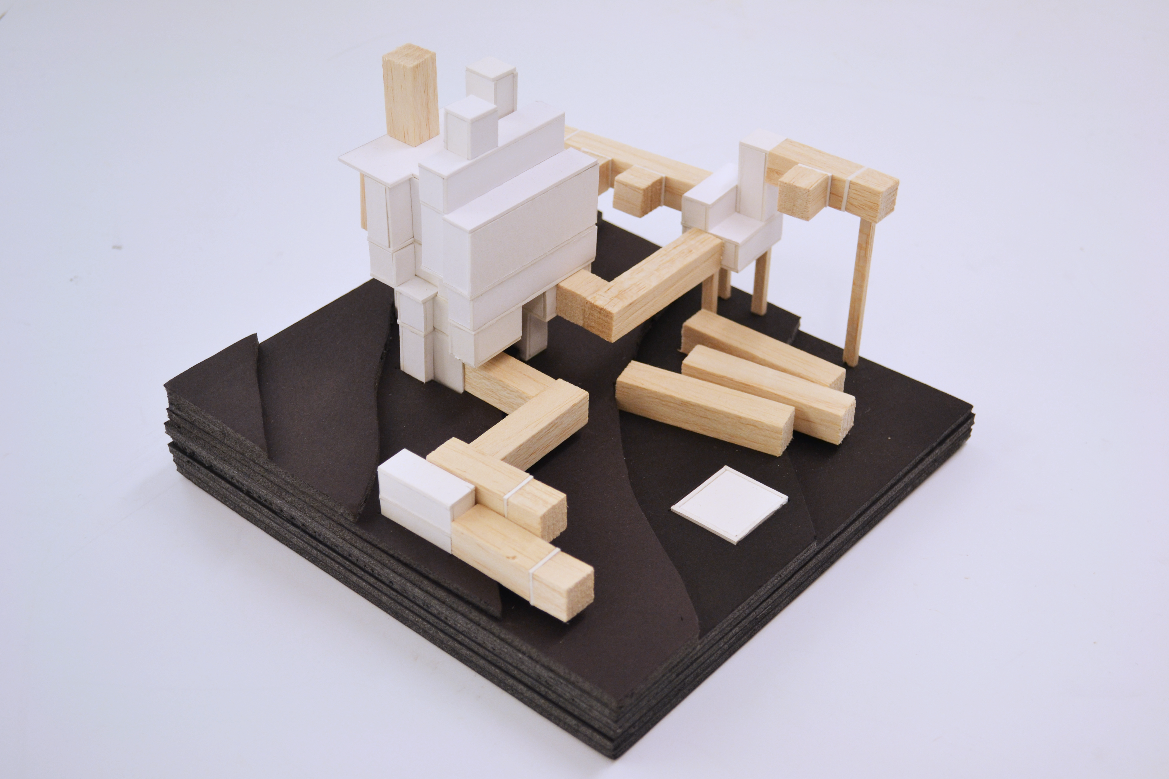 Study model.