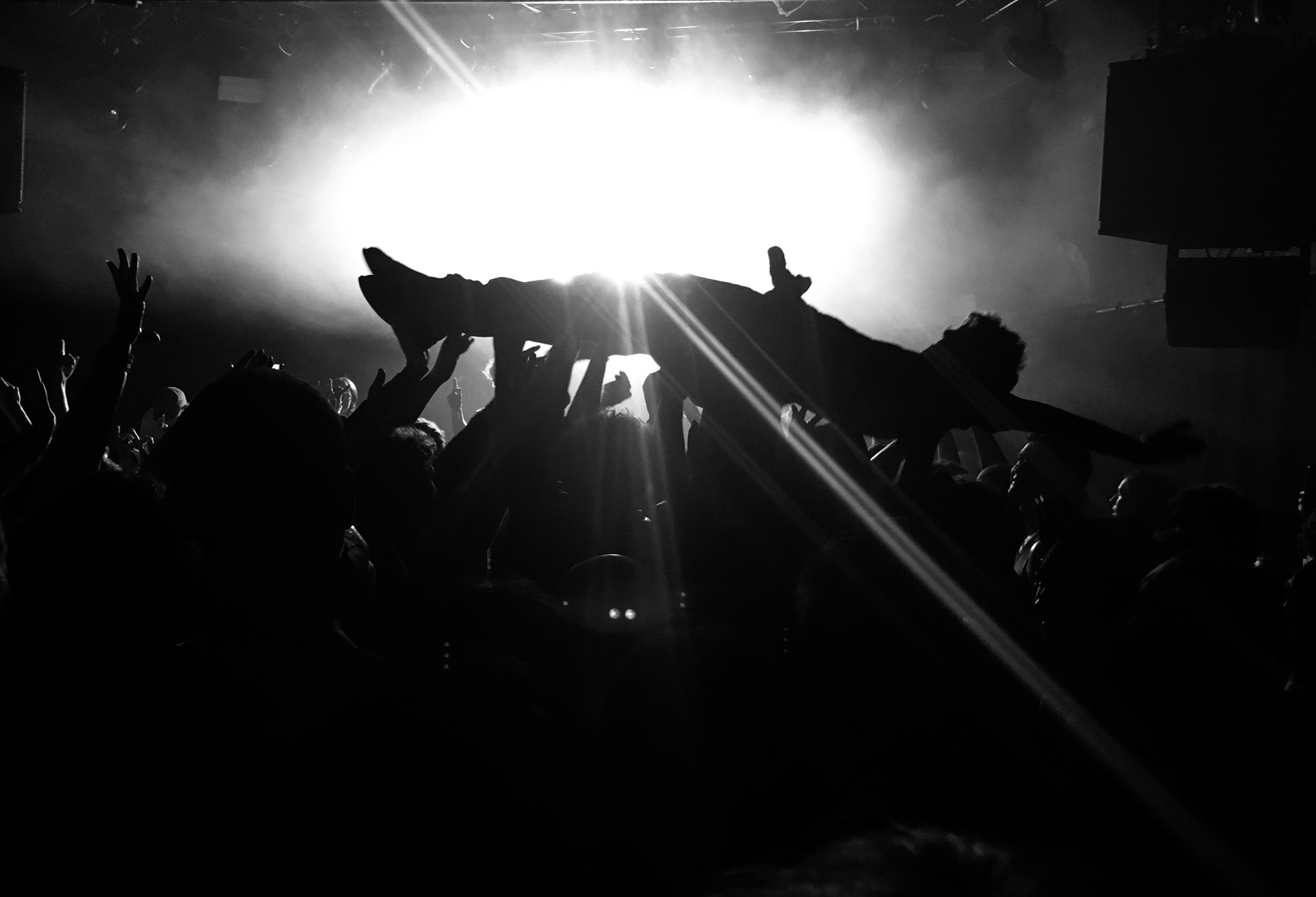 Fat Dog - Trabendo - 2025