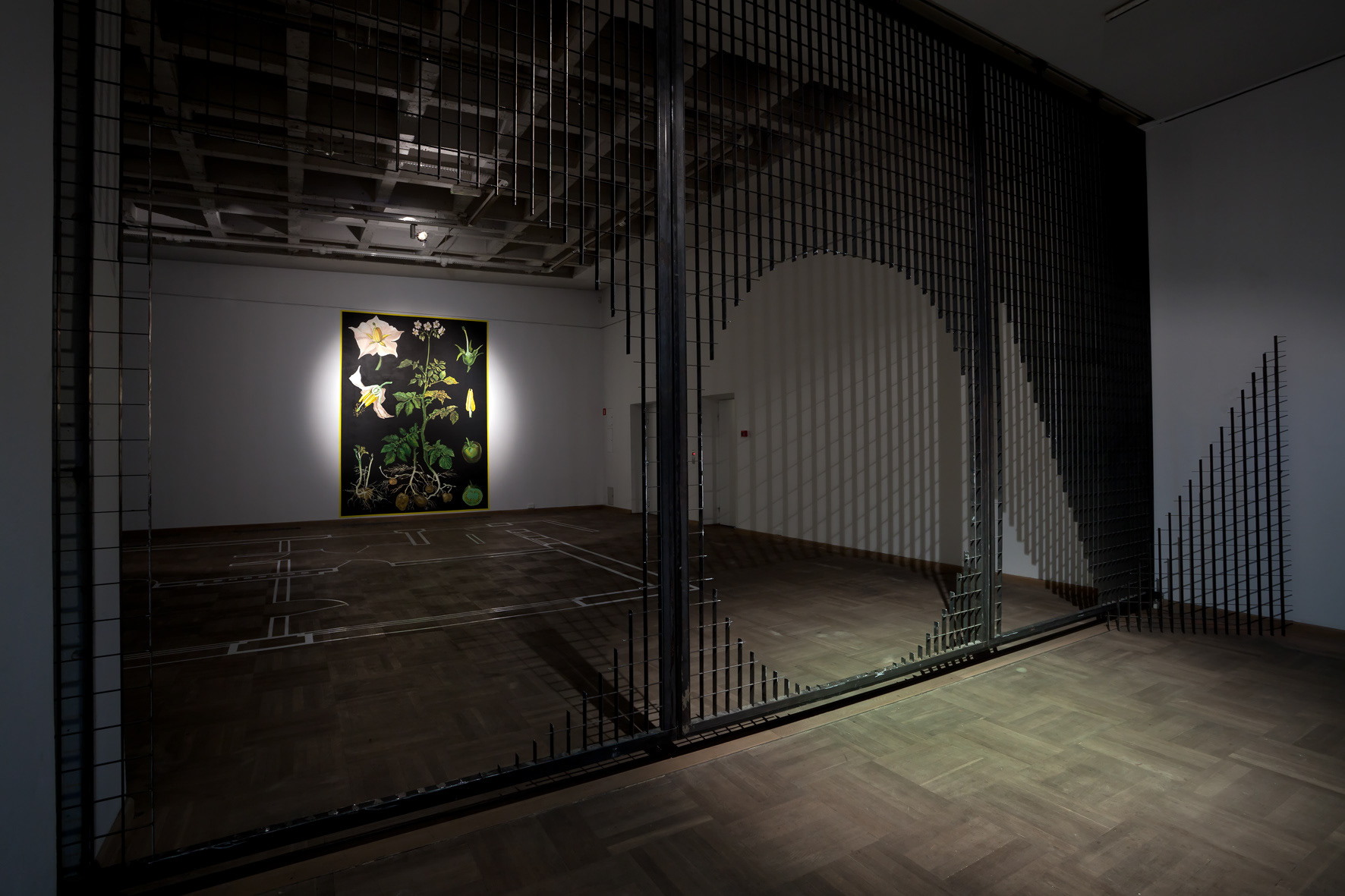Bogusław Bachorczyk, Kiss My Ring, 2011