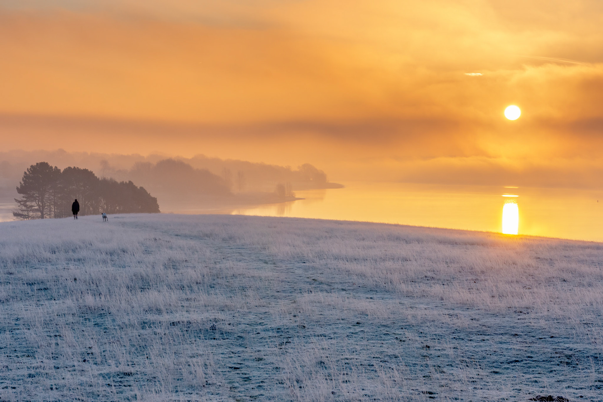 Frosty Walk  Barnsdale January 2019
