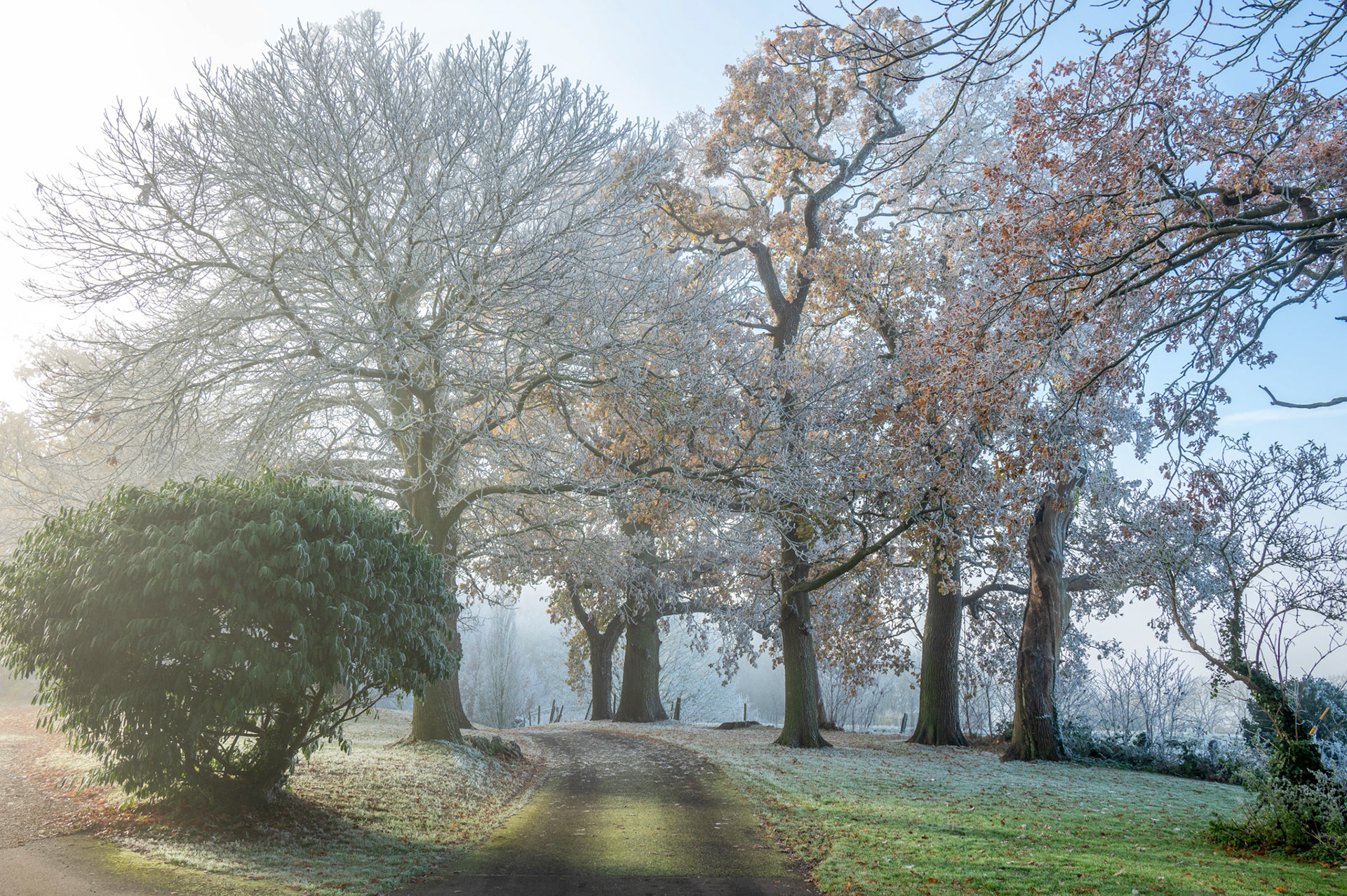 Hoar Frost Burley on the Hill