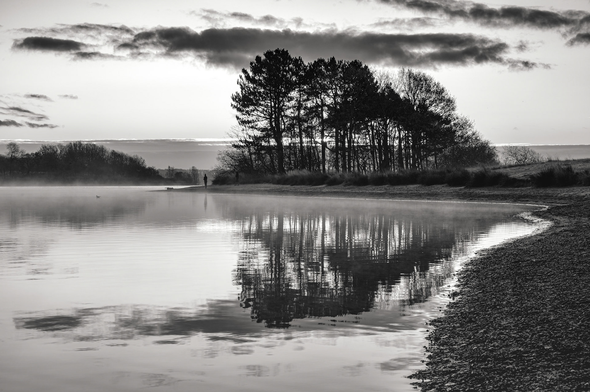 Barnsdale Black and White November 2020