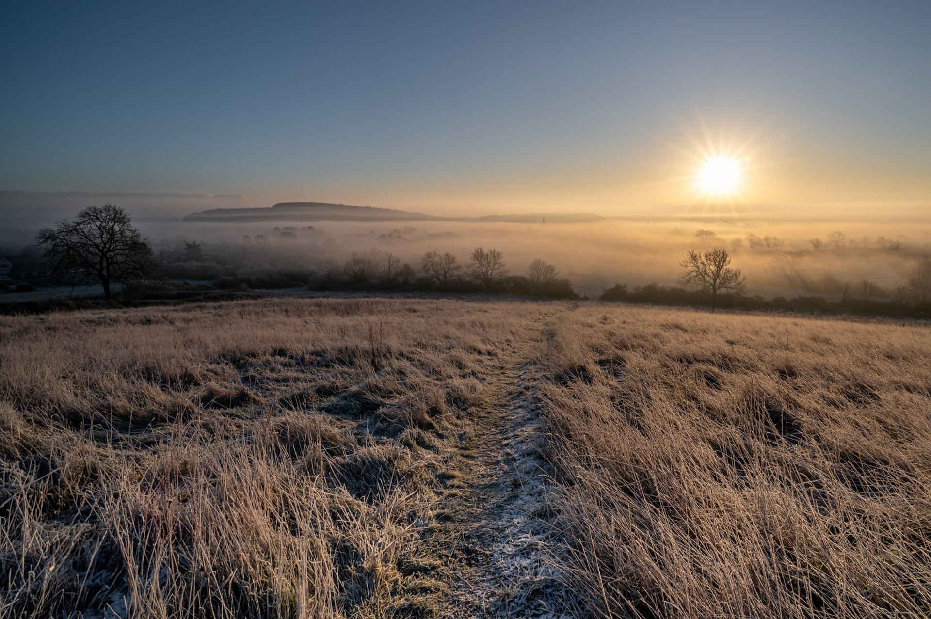 freezing fog Lyddington January 2025