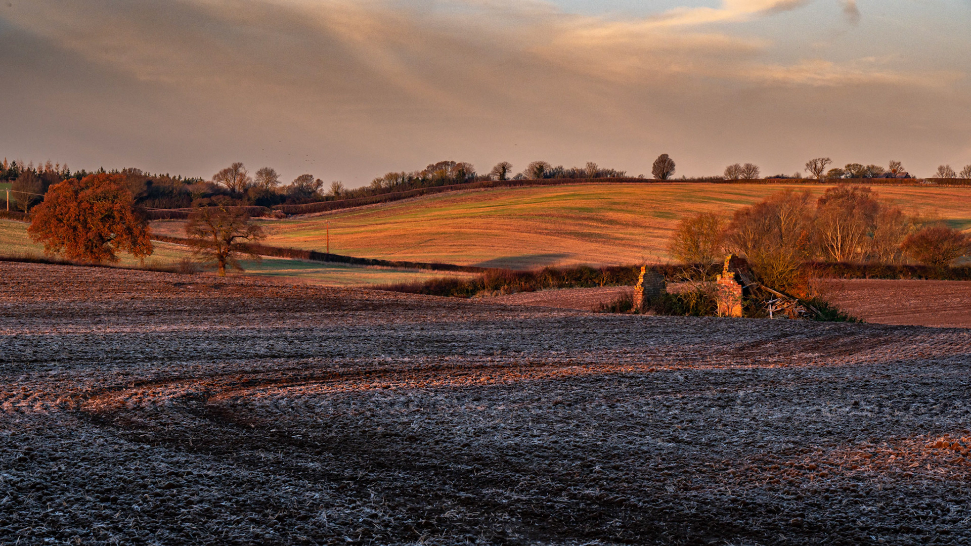 Remains of the Shed Eyebook November 2024