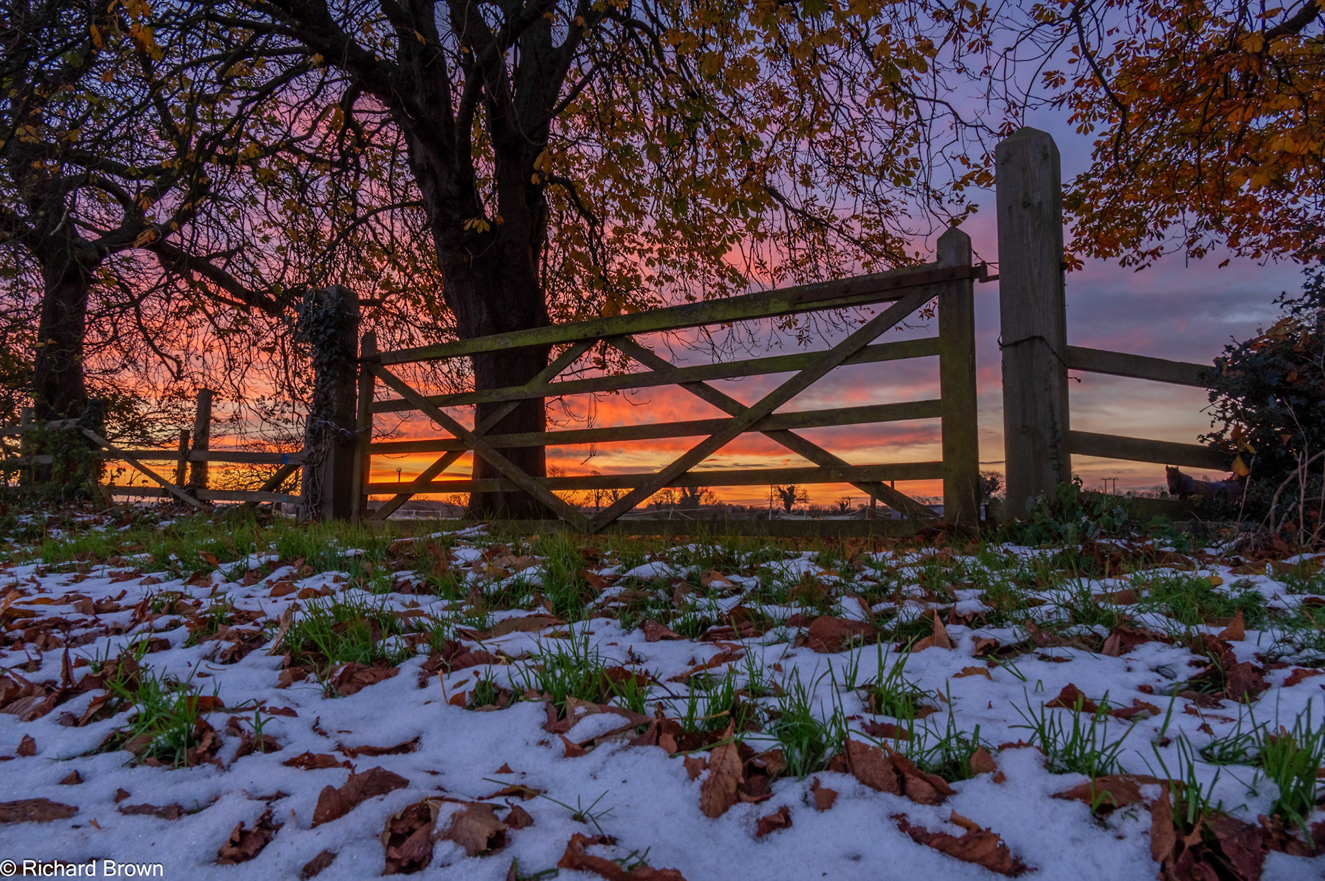 Gateway to Winter Preston November 2024
