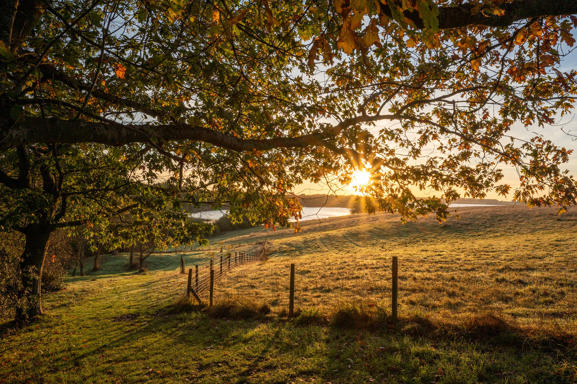 Barnsdale Rutland Water Autumn October 2023