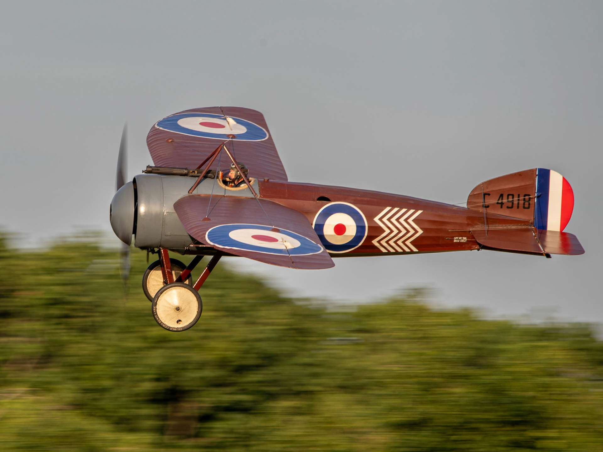 Bristol M.1 C Monoplane replica at Shuttleworth July 2022