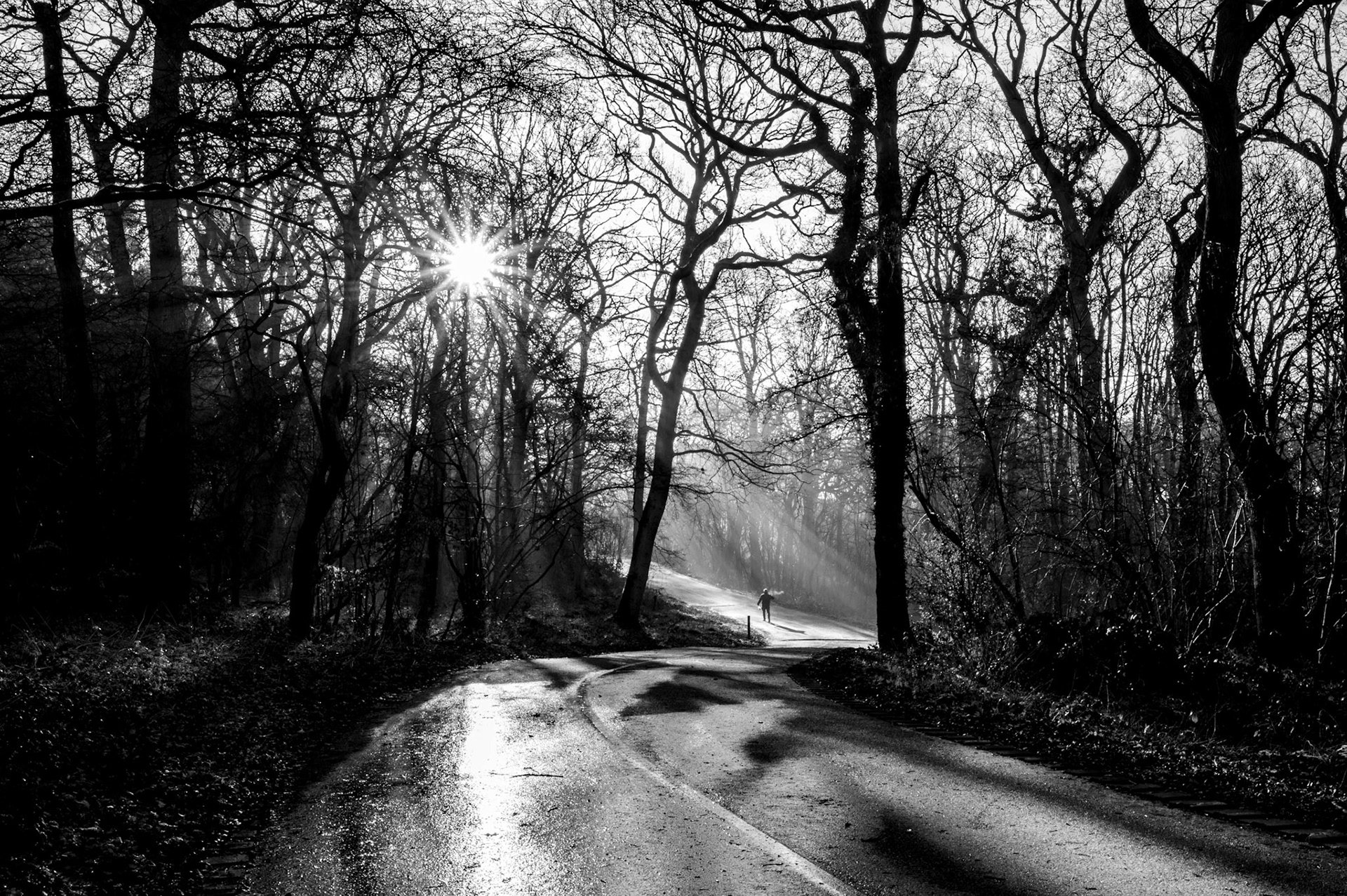 Lone Walker Barnsdale woods Febuary 2024